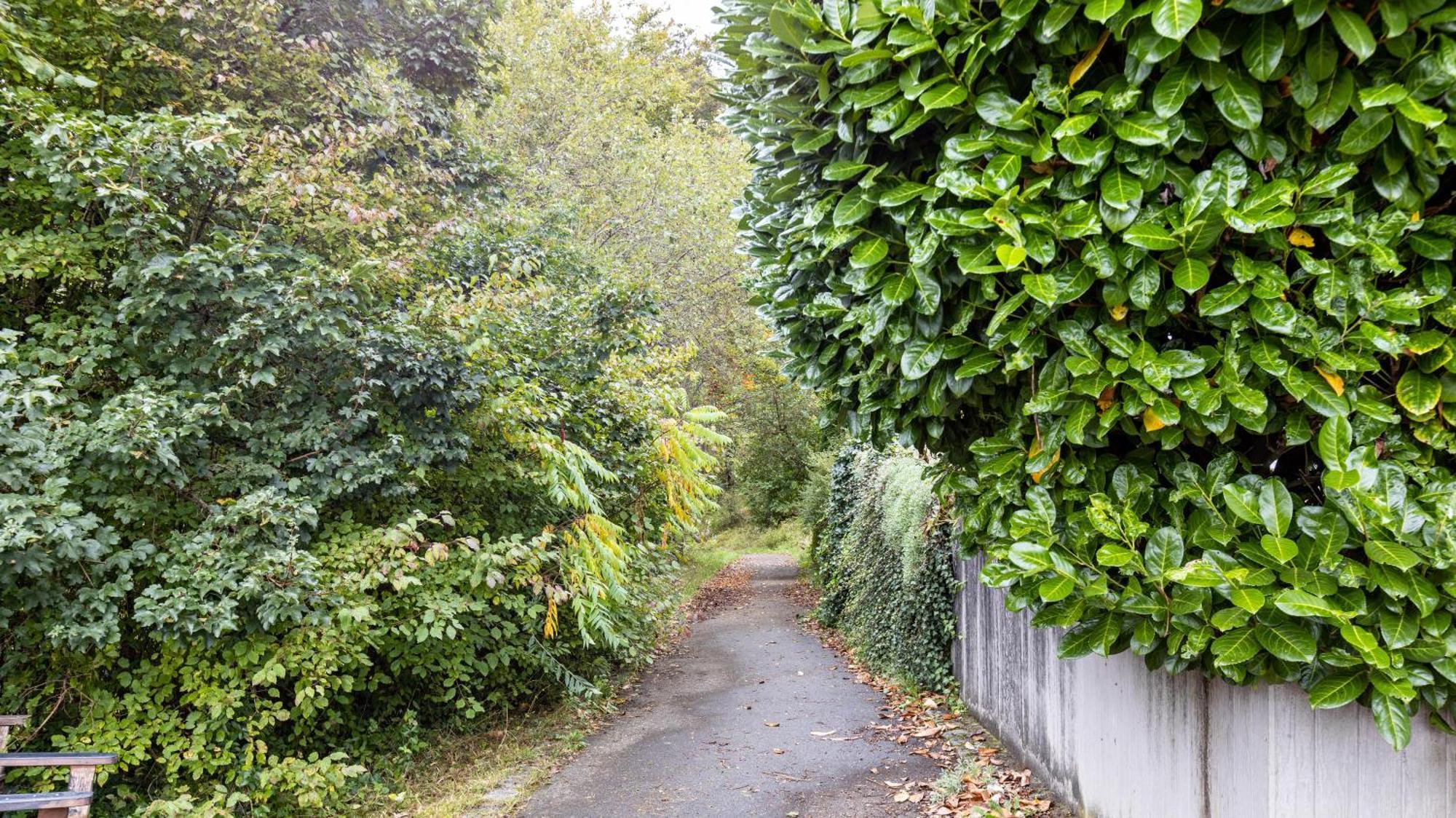 Ferienwohnung Am Donauradweg Тутлинген Екстериор снимка