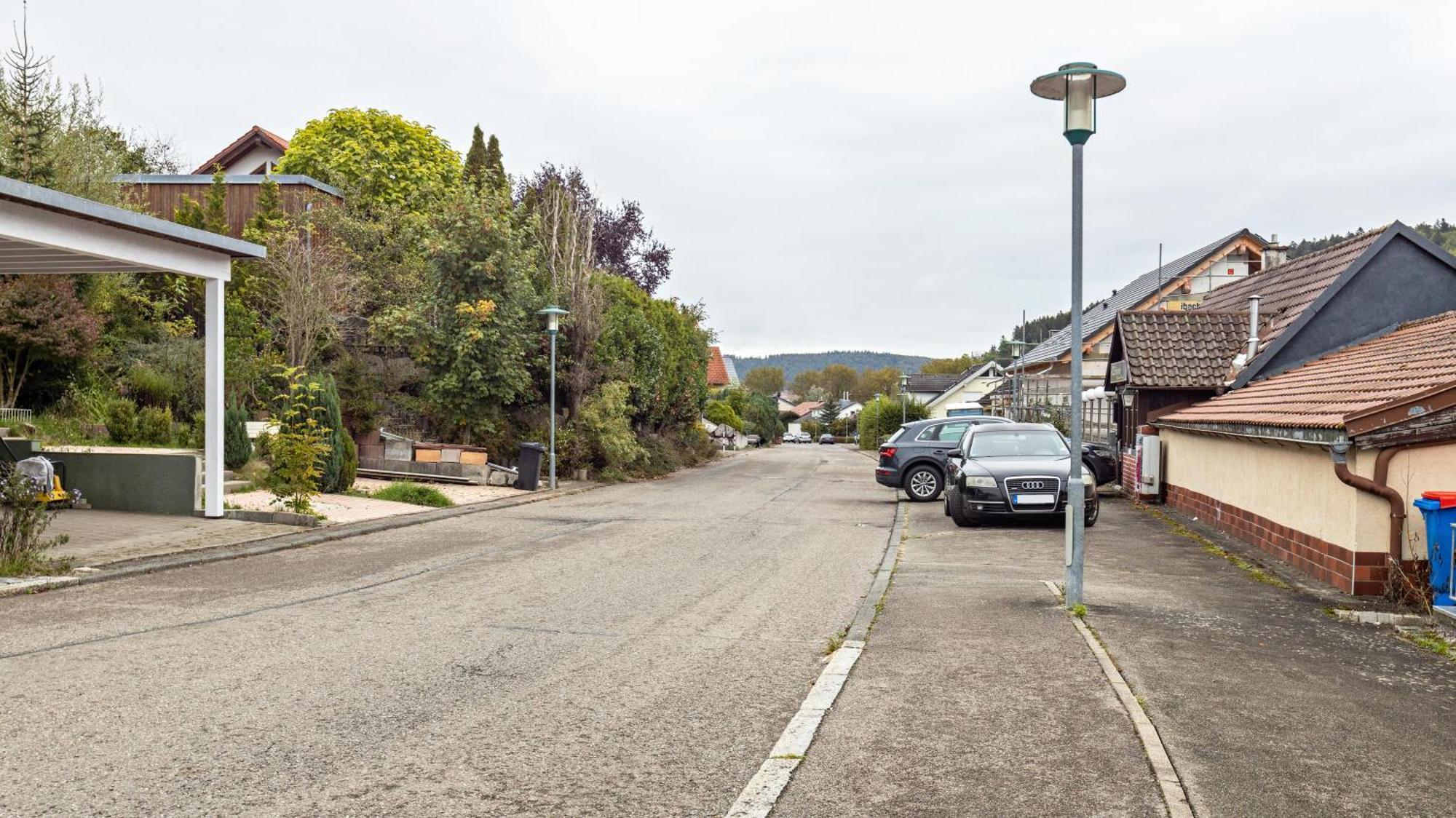 Ferienwohnung Am Donauradweg Тутлинген Екстериор снимка